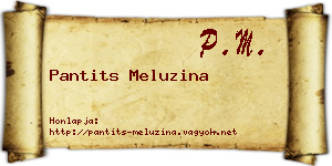 Pantits Meluzina névjegykártya